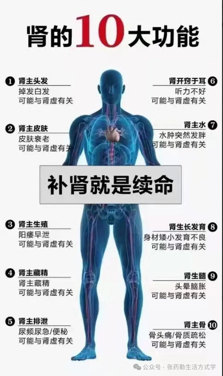 壮阳补肾最快最猛的中成药！收藏吧
