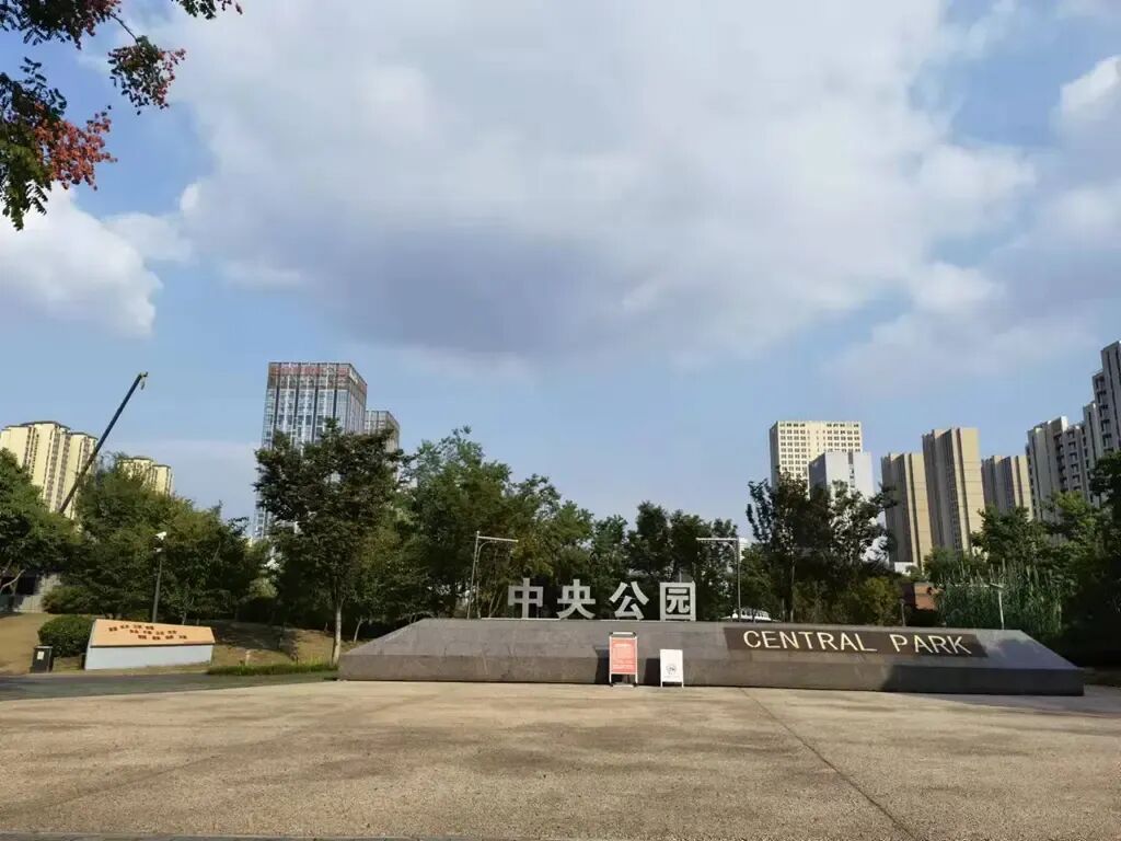 中央公园实景图展示龍宸壹號生态优势
