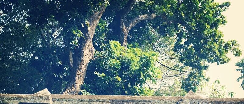 高考：“好考”的211名校盘点，分数比很多211都低，考生可以“捡漏”