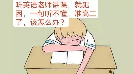 高中英语成绩上不去 清华学姐教你怎么记单词更有效 教育改革政策资讯 微信头条新闻公众号文章收集网