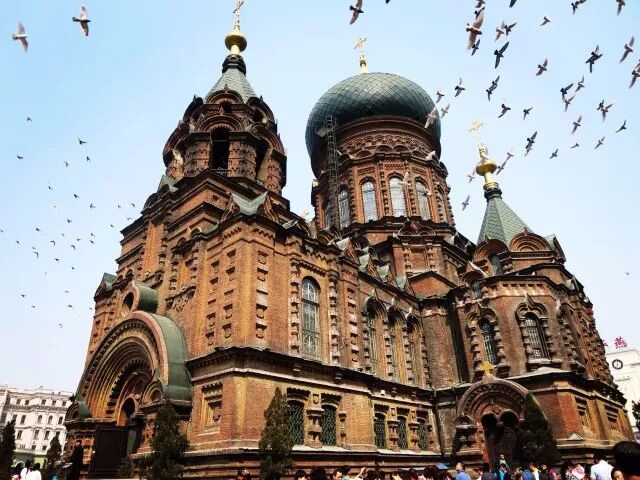 2018年神农京剧全国票友消夏演唱季 第一期邀请函