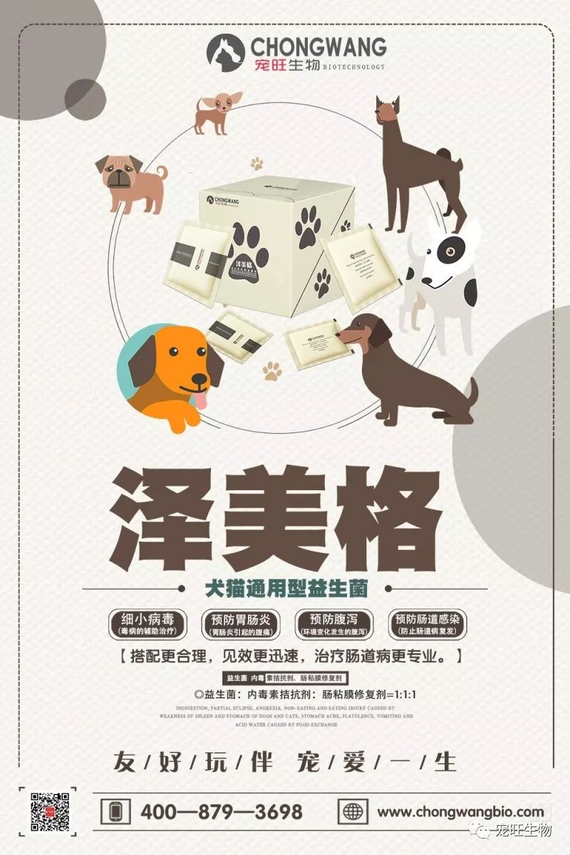 蝴蝶犬消化不良怎么办 宠旺生物 微信公众号文章阅读 Wemp