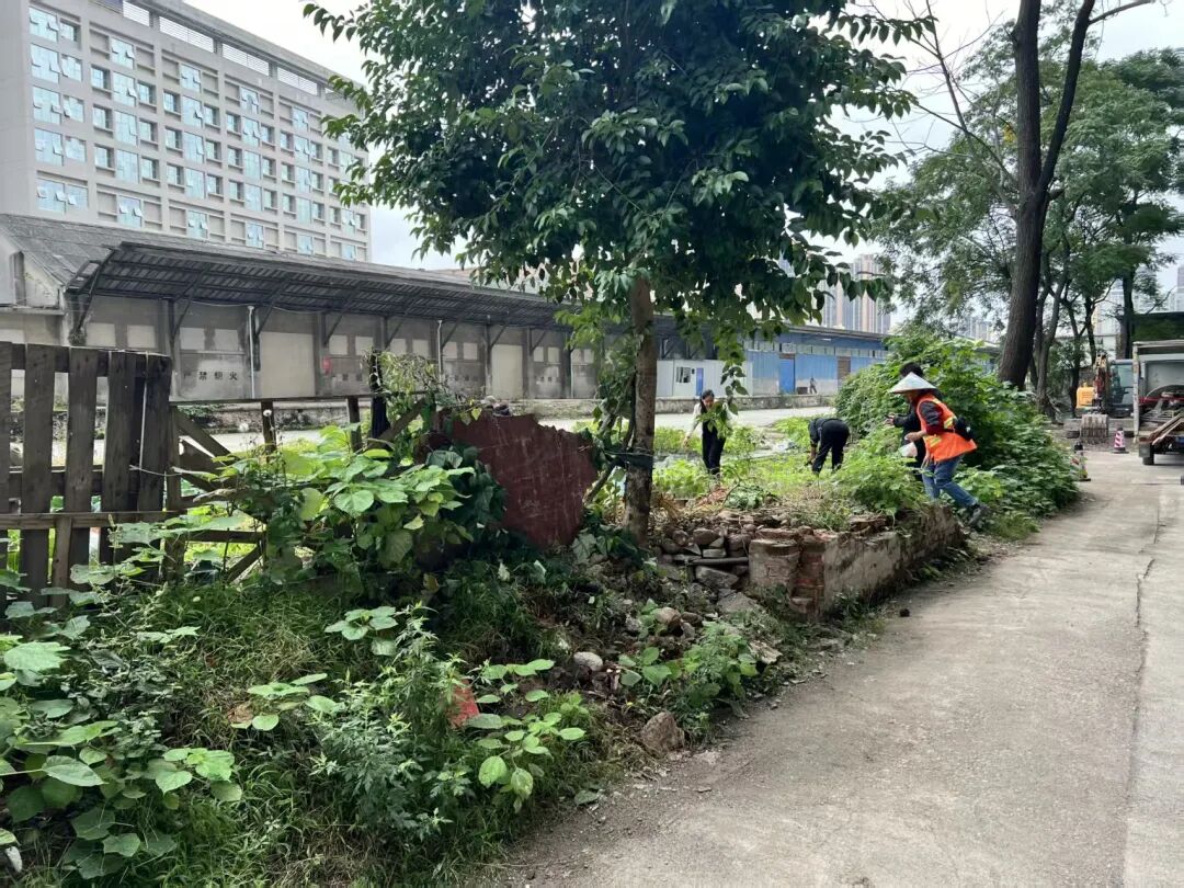 从“绕着走”到“主动去”都匀人居环境整治成效看得见