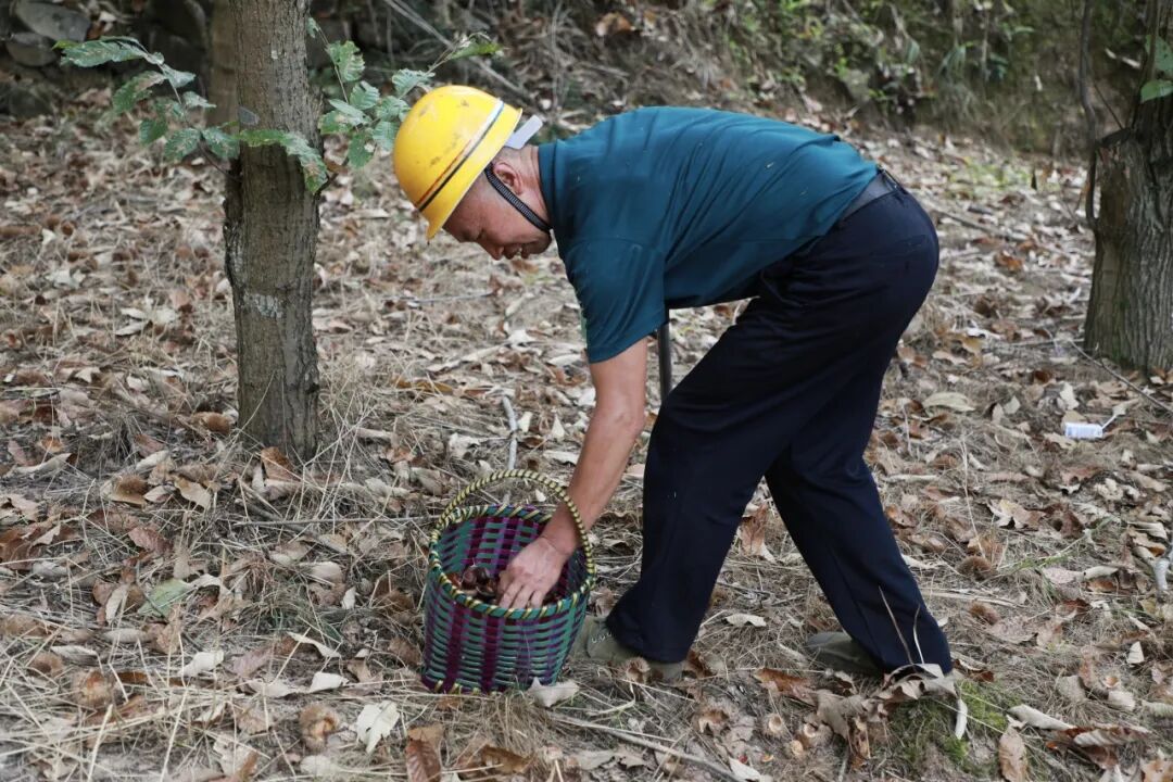 ""