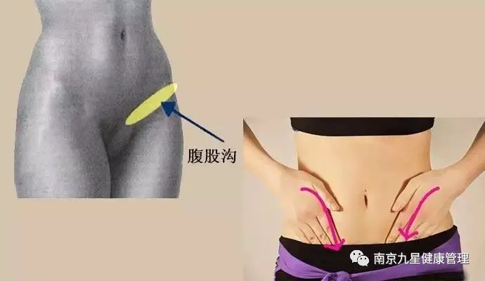腹股沟——重要且薄弱的部位