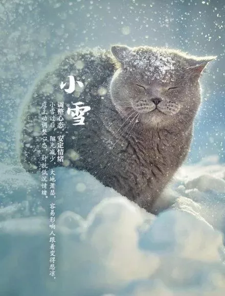 今日小雪,邂逅《冰雪奇缘》,片中5大亲子教育感悟句句经典! 今日小雪,邂逅《冰雪奇缘》,片中5大亲子教育感悟句句经典!