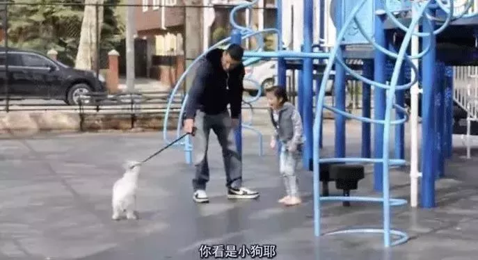 特别关注!“梅姨”被刷屏的背后,对孩子的安全防拐教育不能丢! 特别关注!“梅姨”被刷屏的背后,对孩子的安全防拐教育不能丢!
