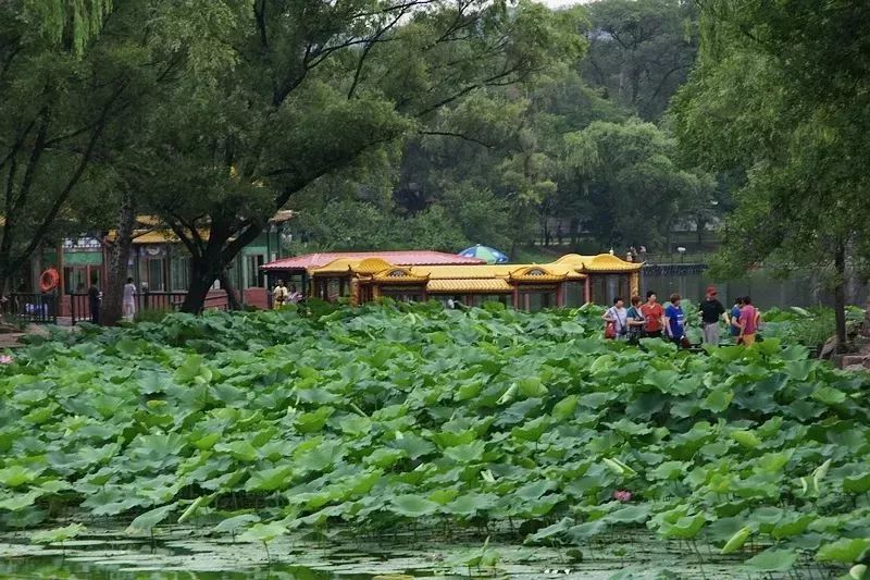 探秘北京土著最愛去的20個京郊景點，承包你一整年的周末！ 旅遊 第64張