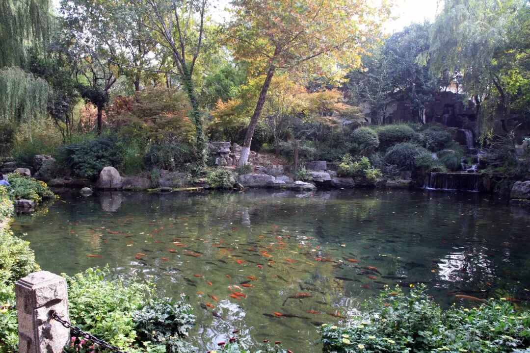 好玩山东城市有哪些_山东哪个城市好玩_山东最好玩城市