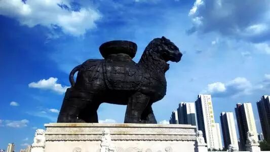 好玩山东城市有哪些_山东最好玩城市_山东哪个城市好玩