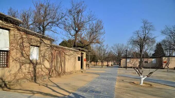 山东最好玩城市_好玩山东城市有哪些_山东哪个城市好玩