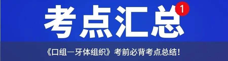 牙机怎么组【#2022口腔医考】 《口组—牙的发育、牙发育异常》考前必背考点总结！_https://www.jmylbn.com_新闻资讯_第4张