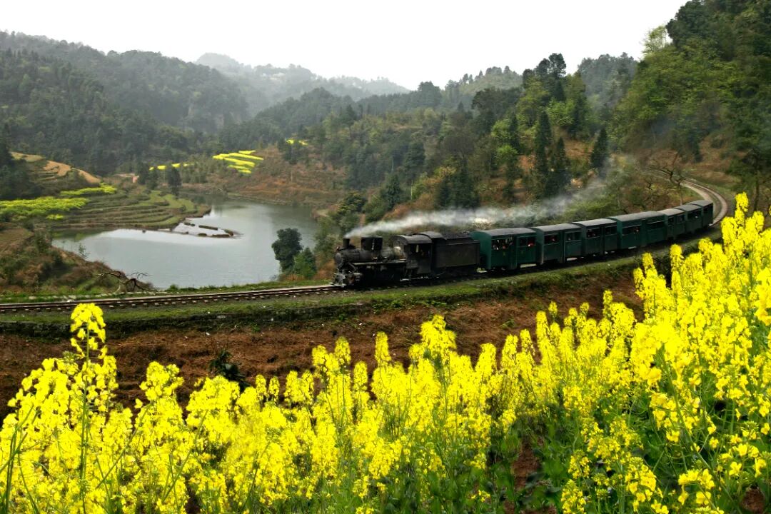 来乐山犍为解锁研学的n种方式