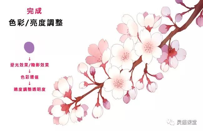 灵猫课堂丨没亲眼见过樱花不会亲手画出来吗？樱花的详细绘制过程