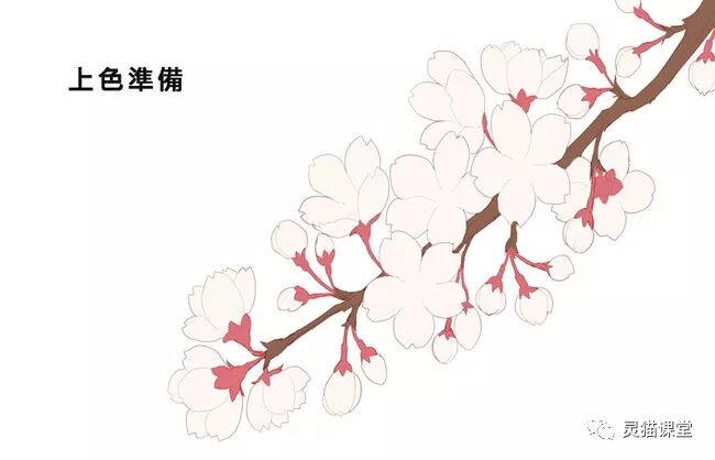 灵猫课堂丨没亲眼见过樱花不会亲手画出来吗？樱花的详细绘制过程