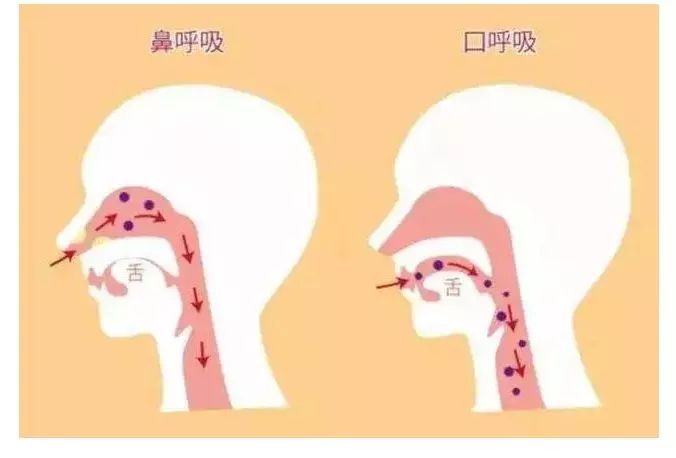 新型冠状病毒流行期间，口腔干净，格外重要！