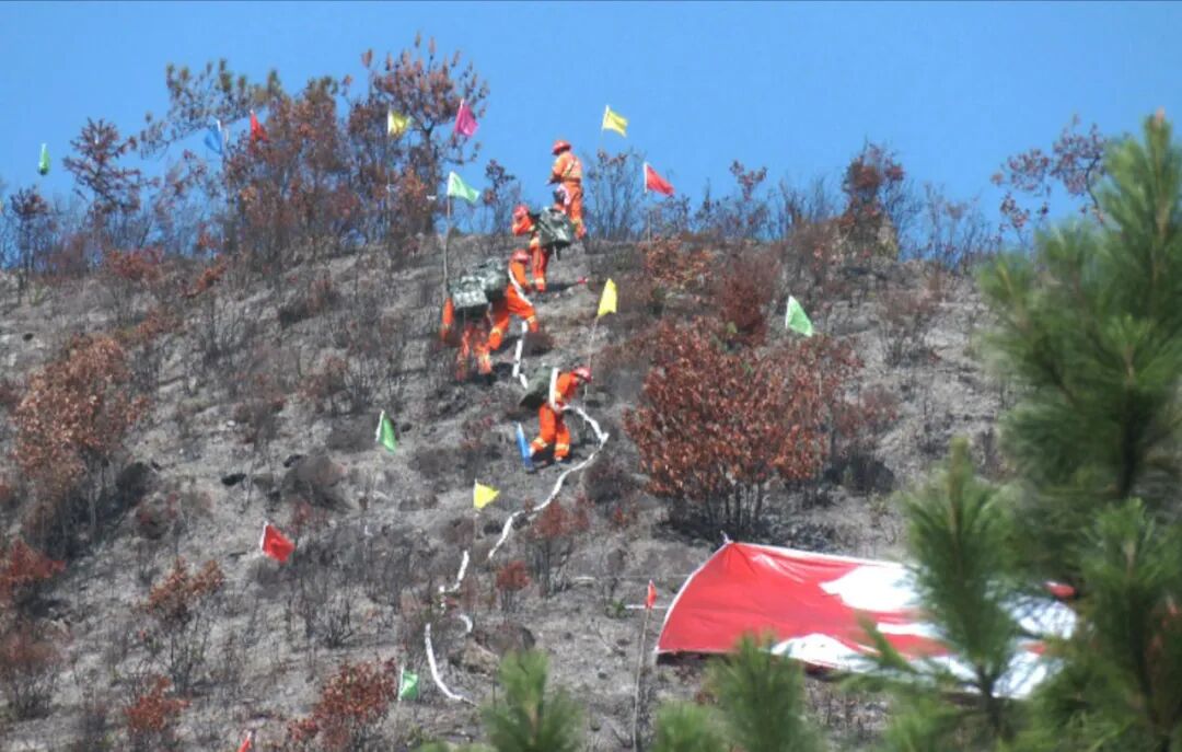 ͼƬ