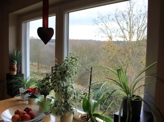 为什么德国喜欢用内开内倒窗？国内99%人却认识不到位！