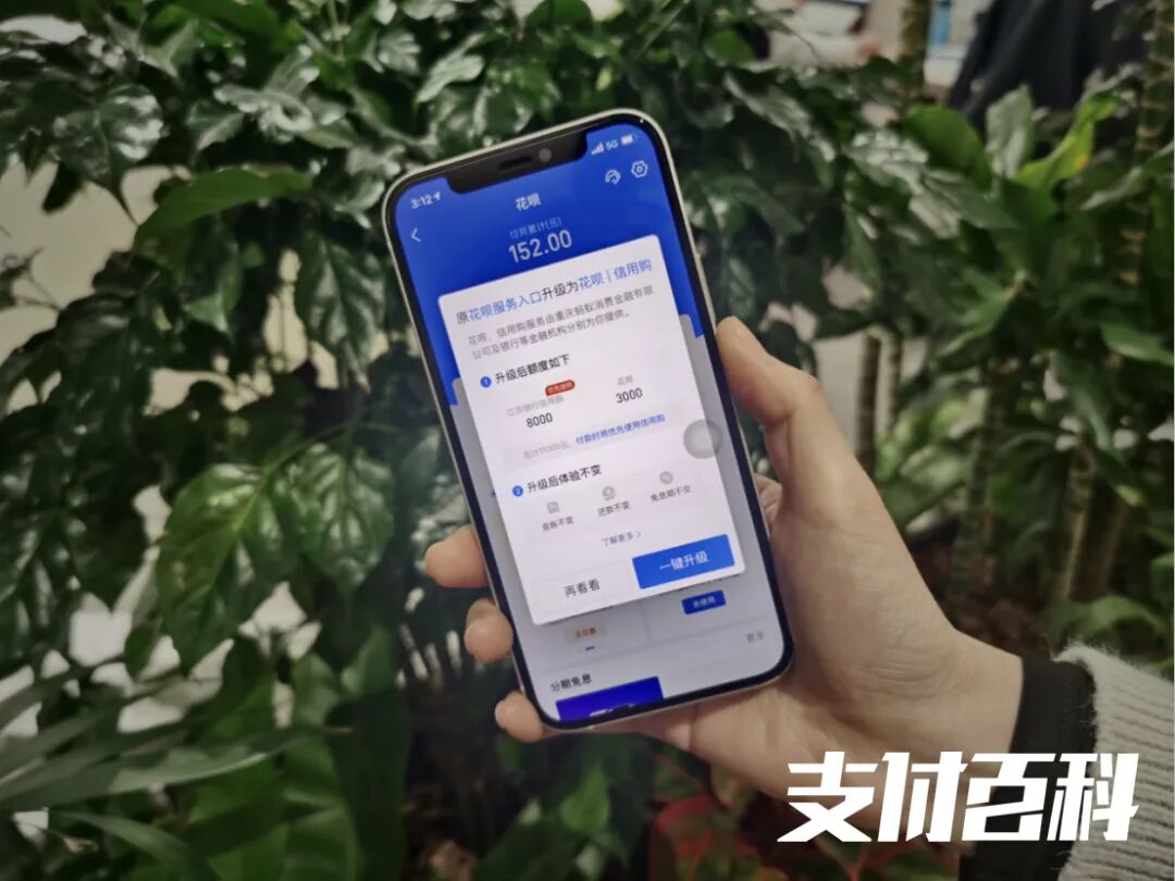 花呗启动品牌隔离，四大变化保证体验