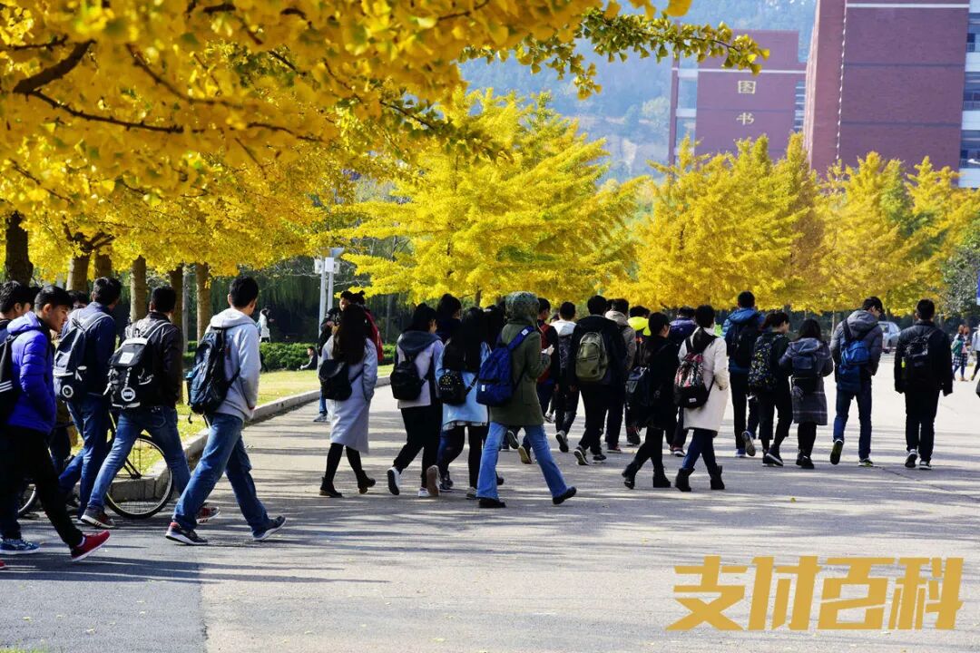 银联商务教培通平台上线，聚焦教育监管难题