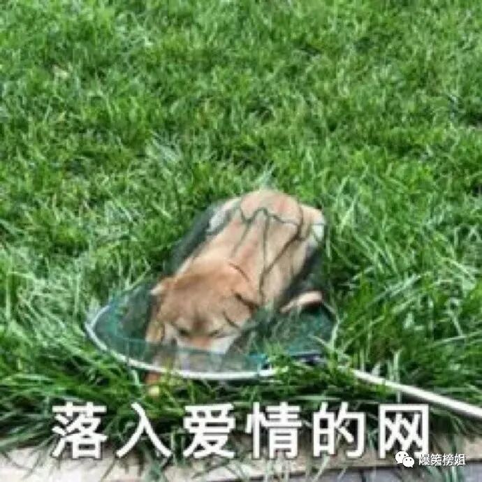 网友分享生活中见过最好看的素人女生，简直是人间极品！u201d - 爆笑榜姐 