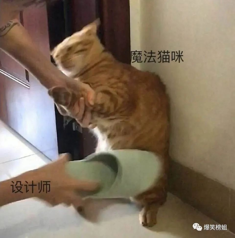 猫到底睡的有多死 你们感受一下 爆笑榜姐 微信公众号文章阅读 Wemp