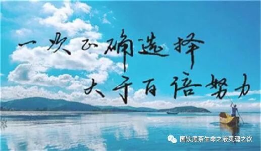 来自一位茶商的内心独白！（很深刻）