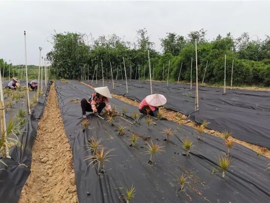 無紡布除了用作口罩，還可以……  第6張