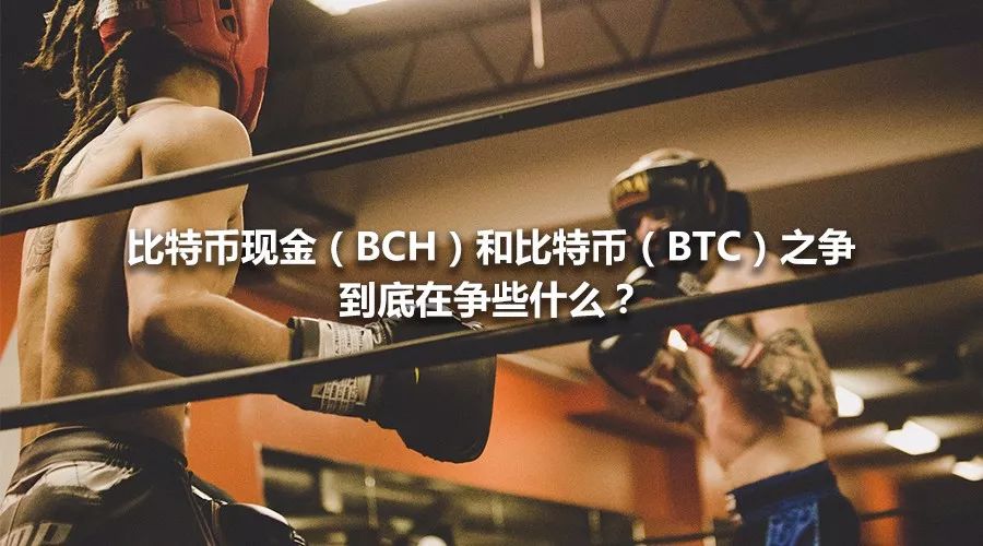 btc和bch有哪些不同点_btc和bch谁更适合投资_bch地址转btc地址 java