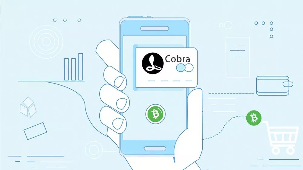 比特币官网管理员Cobra认清BCH支付属性