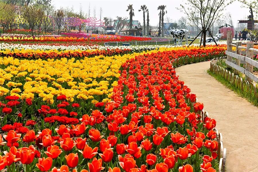 嘉兴火车站附近景点_嘉兴景点_浙江嘉兴景点大全图片