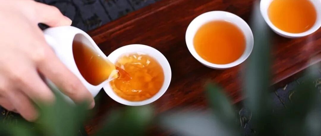 钟南山：茶和陈皮为什么受老百姓欢迎，是有原因的……