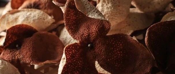 新会陈皮为什么年份越久越香越好价格越贵