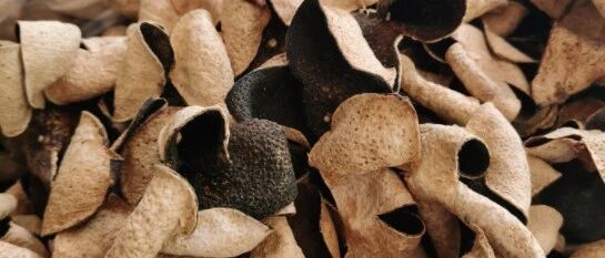 国医大师李佃贵：柴胡配青皮，引浊毒入土