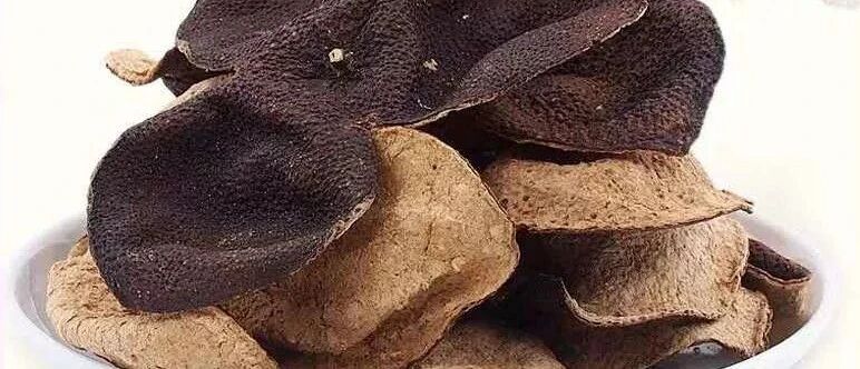 新会陈皮常用的几个经验方，简单方便实用。