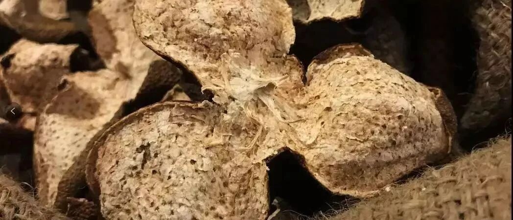 新会陈皮，怎么能那么百搭？搭谁最精彩？