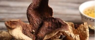 加味陈皮汤治乳腺增生