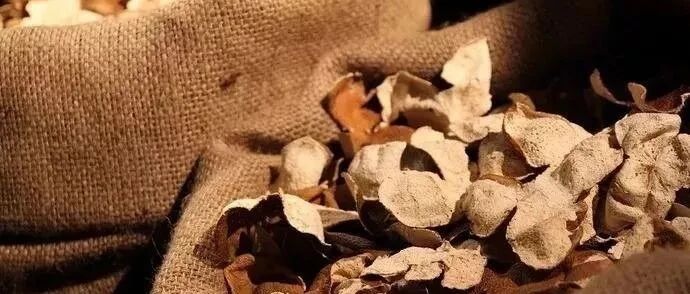 你听说过陈皮，但你了解过陈皮吗？