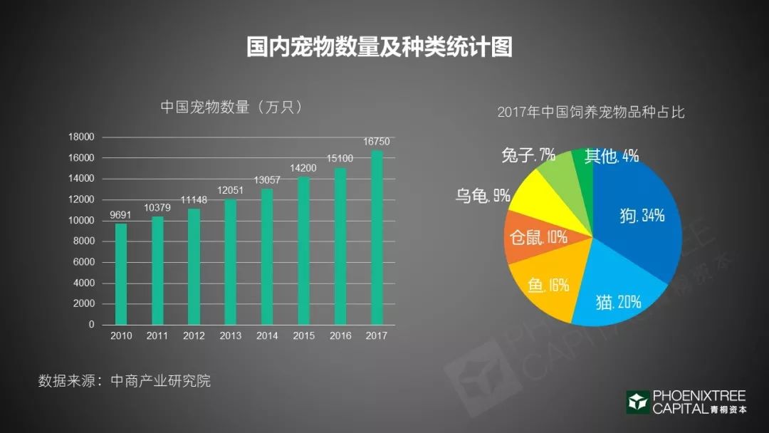 寵物經濟：一門千億級的孤獨生意 未分類 第4張