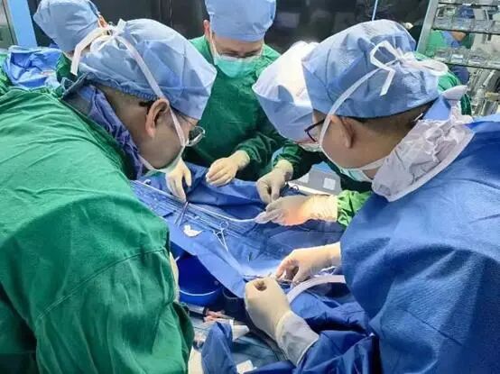 治疗车怎么推【弓部重建直通车】梅州市人民医院心内科团队运用Castor®分支型支架联合预开窗技术治疗主动脉弓动脉瘤合并迷走右锁骨下动_https://www.jmylbn.com_新闻资讯_第7张