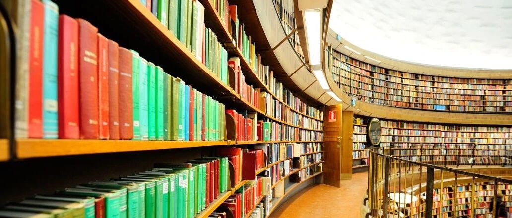 2020年高考再次证明：小学欠下的“阅读账”，迟早是要还的