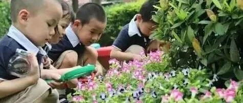 对孩子最大的伤害竟然是“超前教育”！让孩子拥有这些习惯比学习成绩更重要！