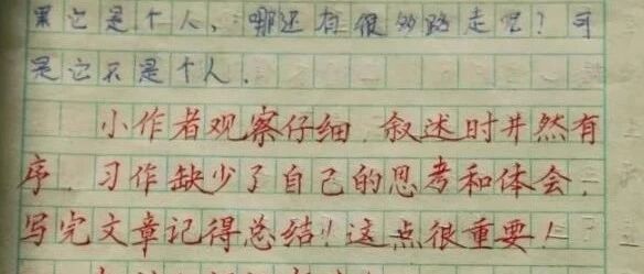 乡村女教师“批改学生作业”走红，字迹如印刷体，获家长一致好评