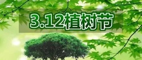 幼儿园植树节活动方案新鲜出炉！和孩子一起拥抱春天，播种绿色吧~