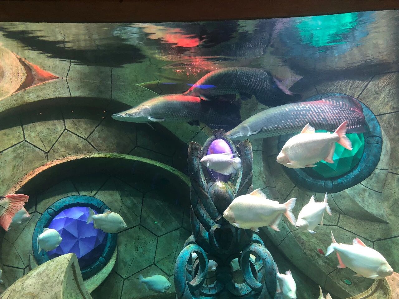 长沙代客网络科技有限公司