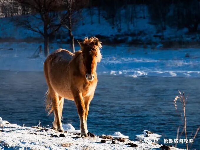 东北三省旅游线路攻略_东北三省旅游必去十大景点_东北三省旅游景点推荐