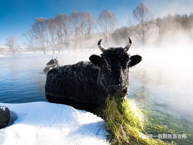东北三省旅游必去十大景点_东北三省旅游线路攻略_东北三省旅游景点推荐