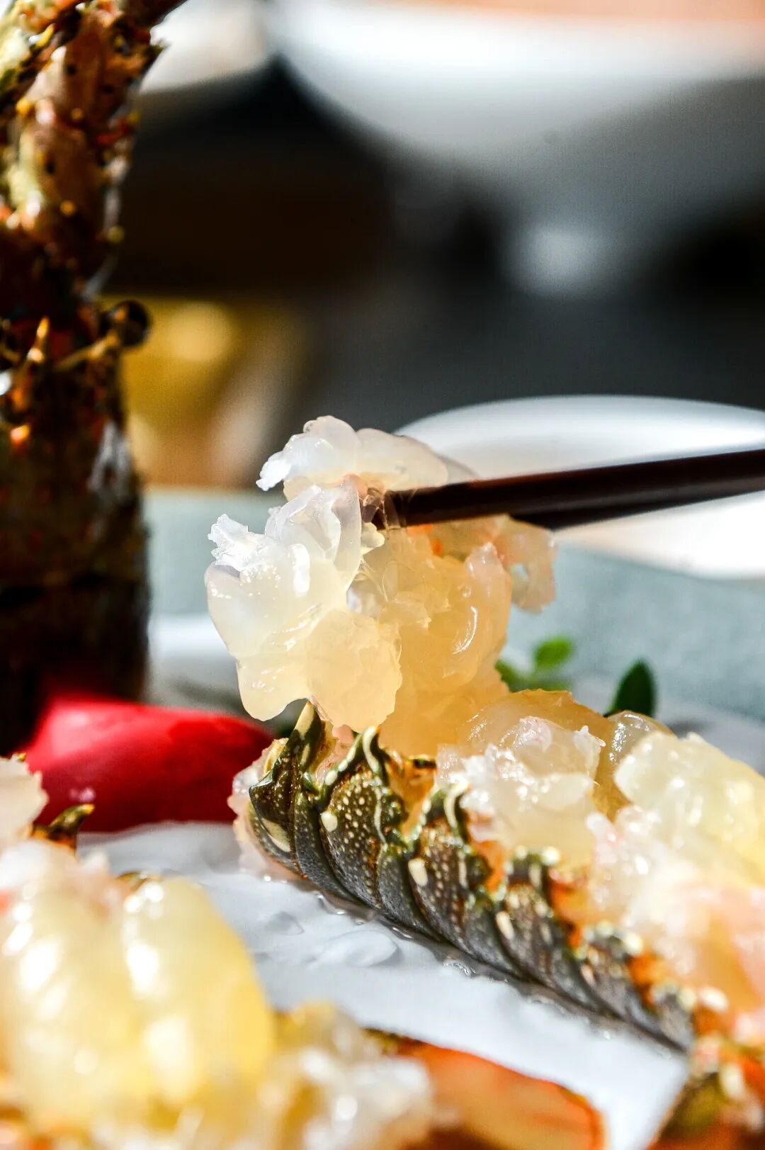 ������̲5�ţ�ħ��Zui����������꣬С��̽��ʵ�����ˣ�