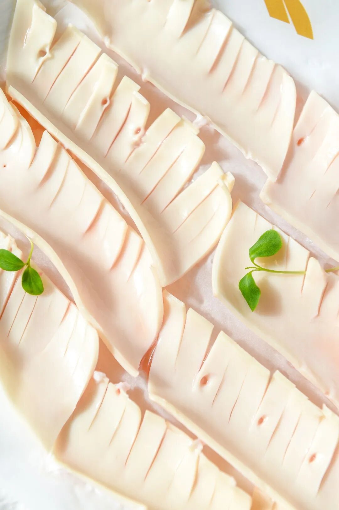 ������̲5�ţ�ħ��Zui����������꣬С��̽��ʵ�����ˣ�