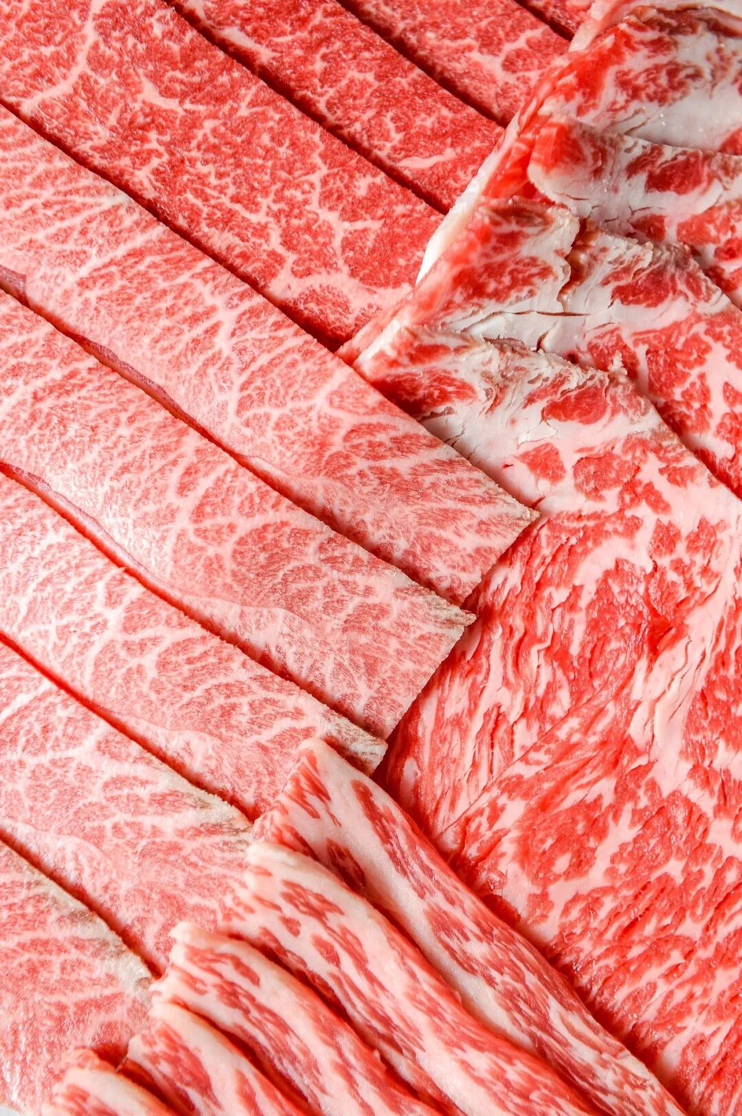 ������̲5�ţ�ħ��Zui����������꣬С��̽��ʵ�����ˣ�